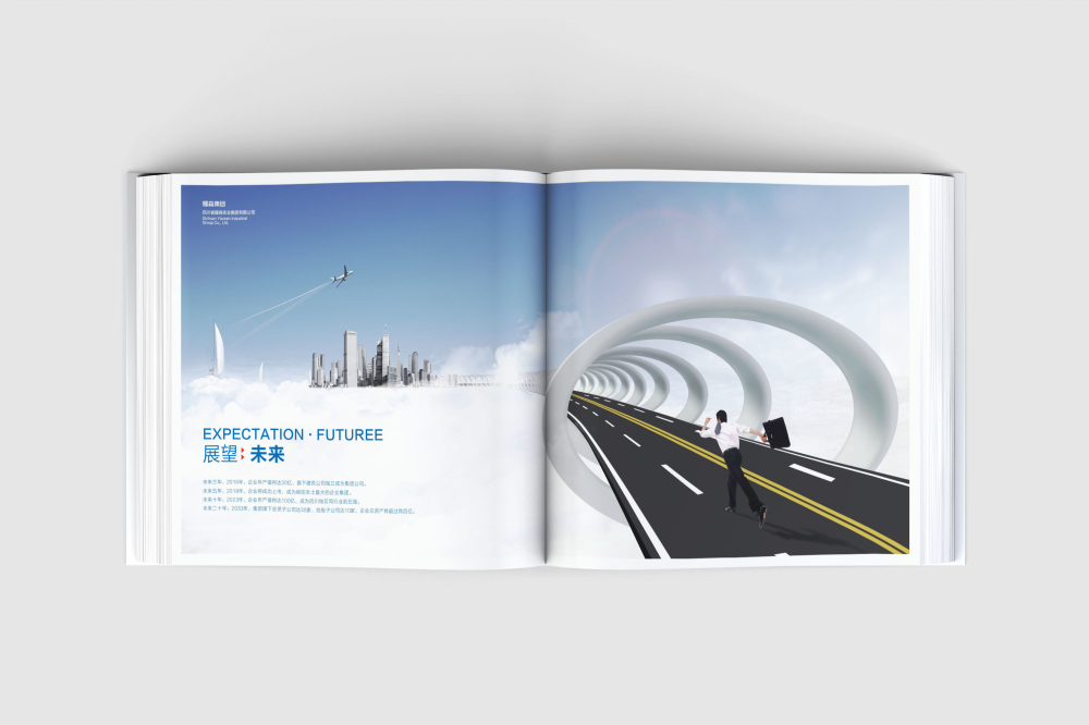 伊春区画册设计