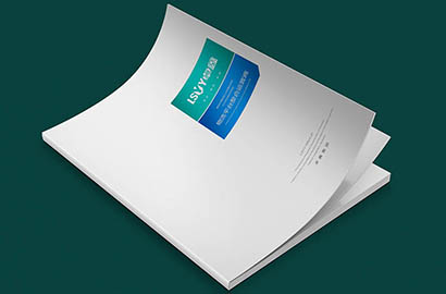 伊春区样本册设计：以严谨逻辑，展现城市产业的硬核实力